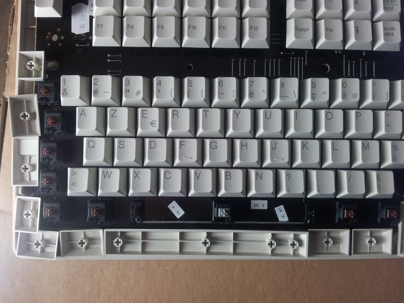 centered_stems.jpg