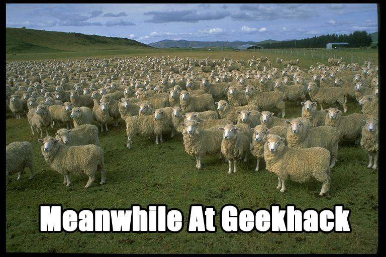 sheep.png