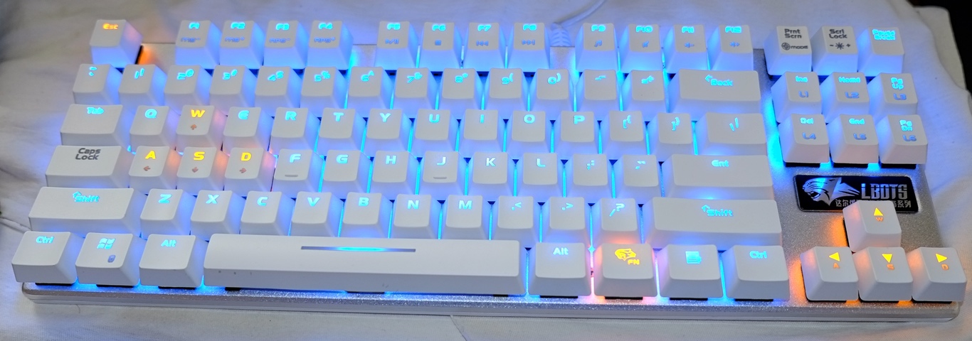 lbots_11.jpeg