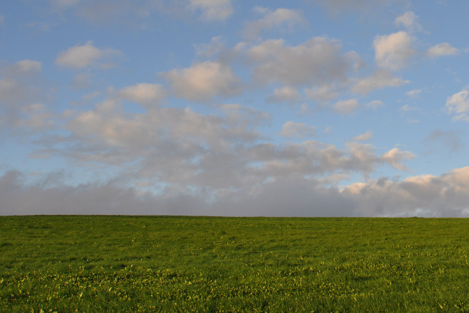 landscape.jpg