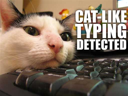 miau.jpg