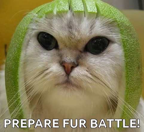 battle.jpg