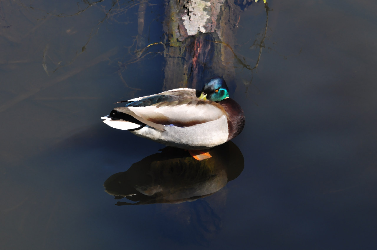 nikon_d90_035981_001.jpg