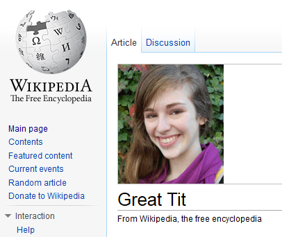 Great Tit.png