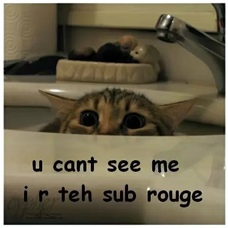 Unbenannt.PNG