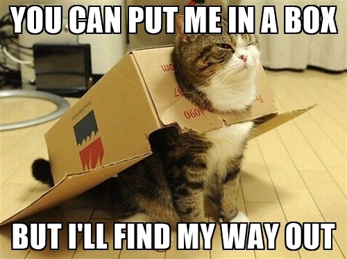 boxed.jpg