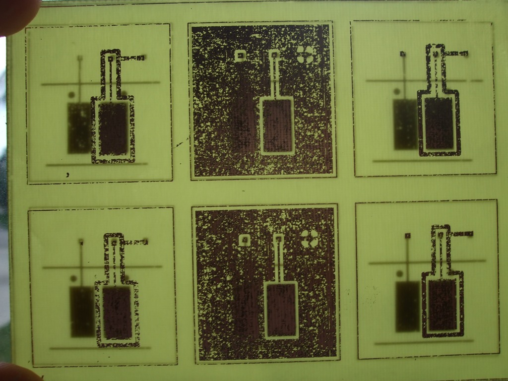 x-ray.JPG