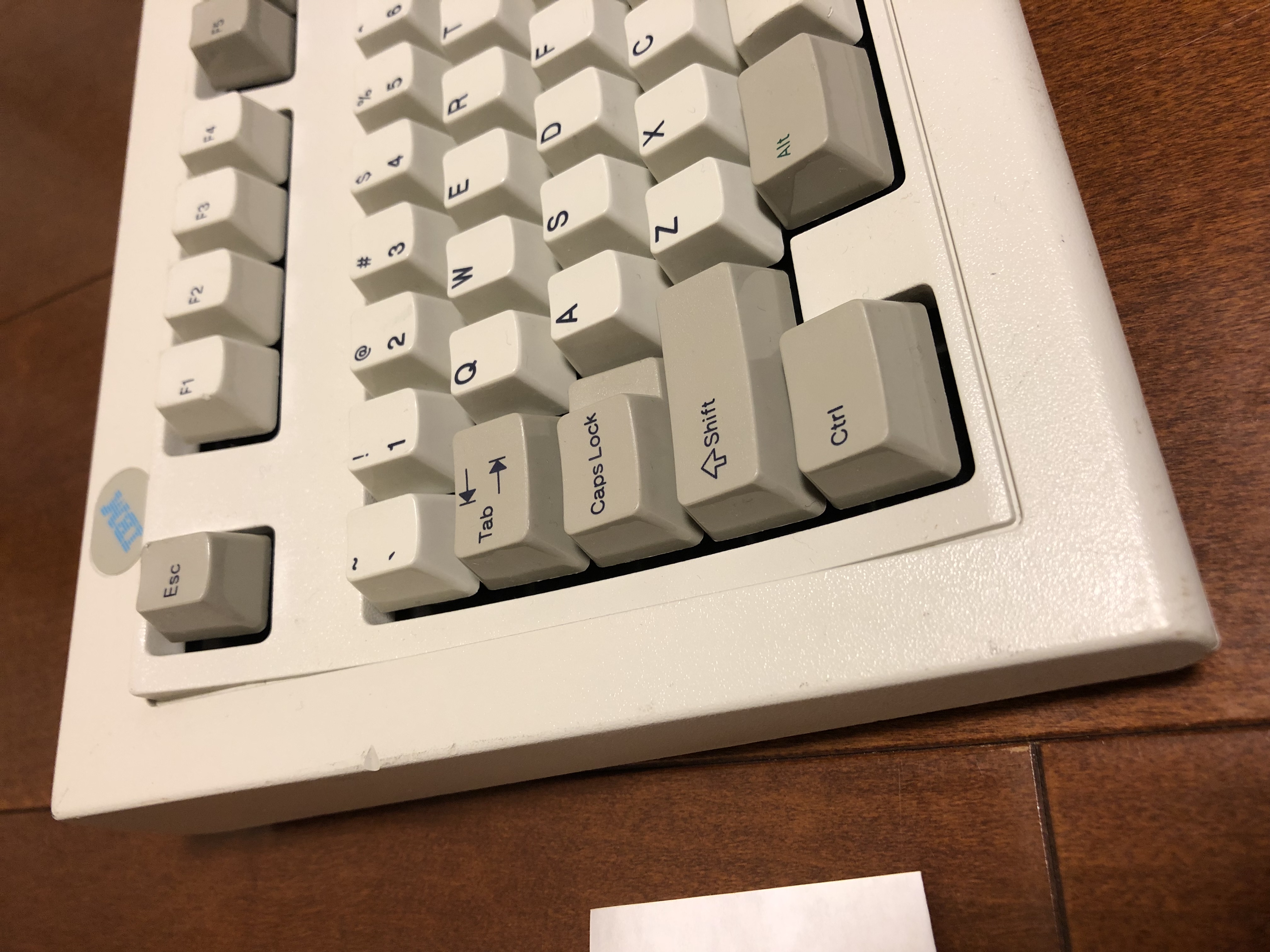 85F7E09E-488C-4FF3-8FF0-CFE4C55CE417.jpeg