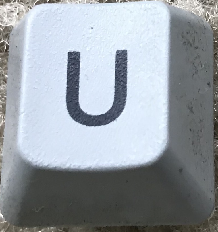 22.JPG