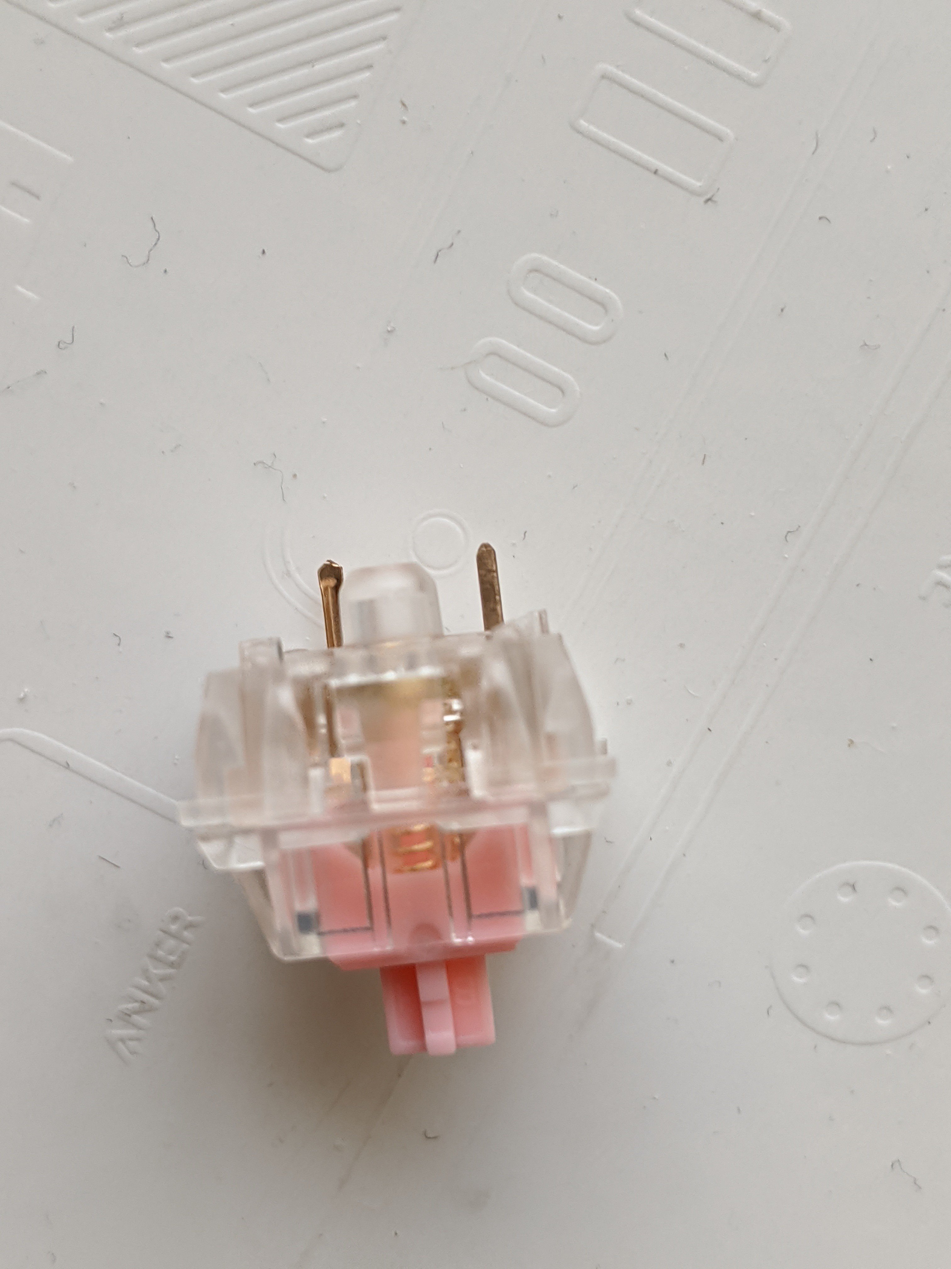 signal-attachment-2019-11-14-130044_001.jpeg