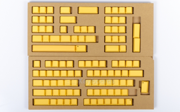 XF0100KT4N.jpg