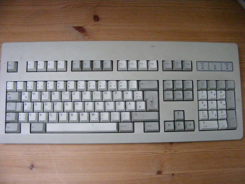 DSCF0184.JPG