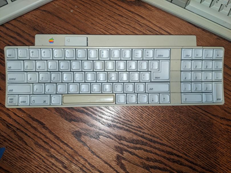 PXL_20210216_223619411.jpg