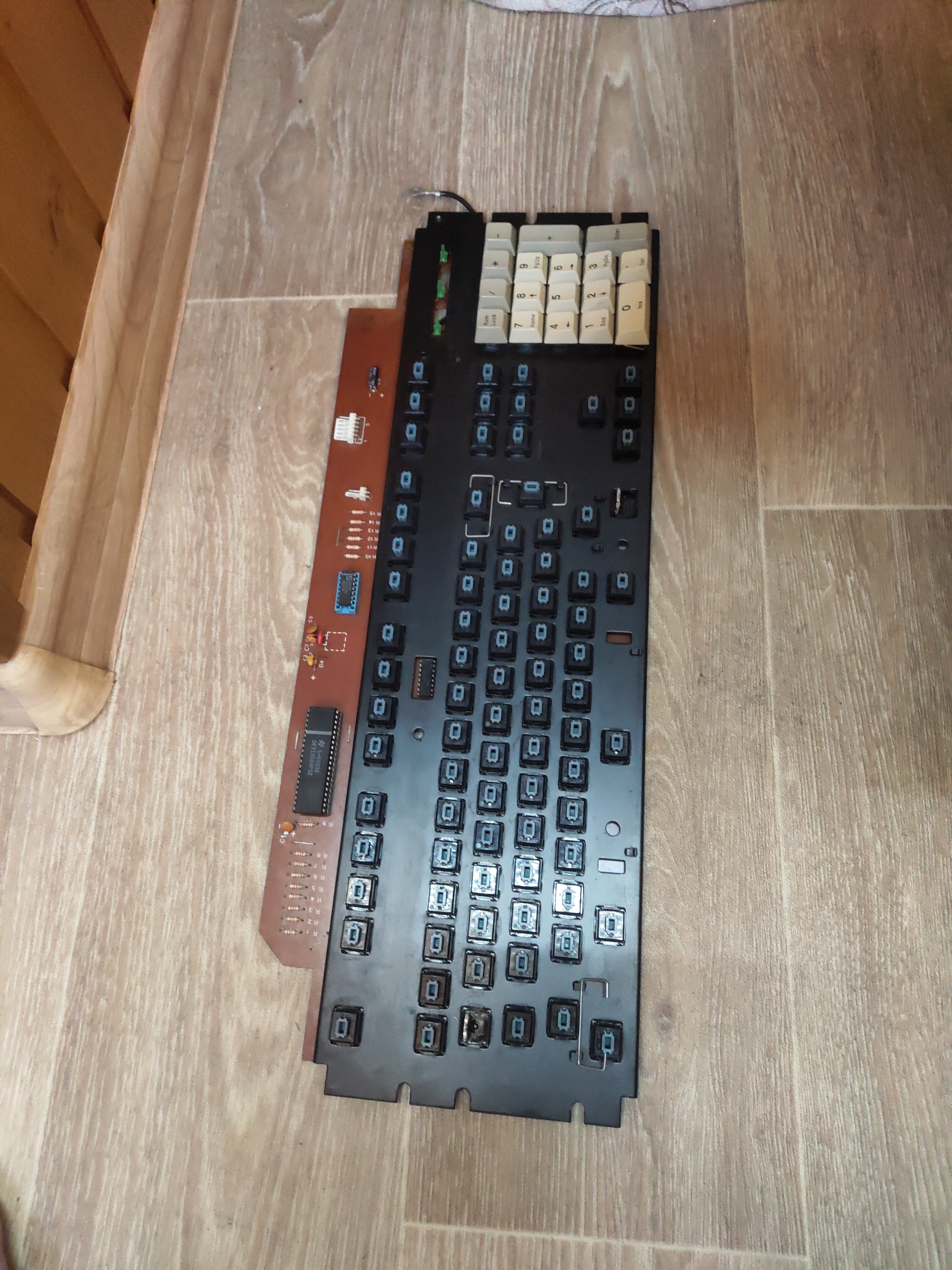 P10310-154136.jpg