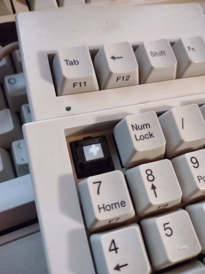 199060814_504307667462374_2925954625813717956_n.jpg