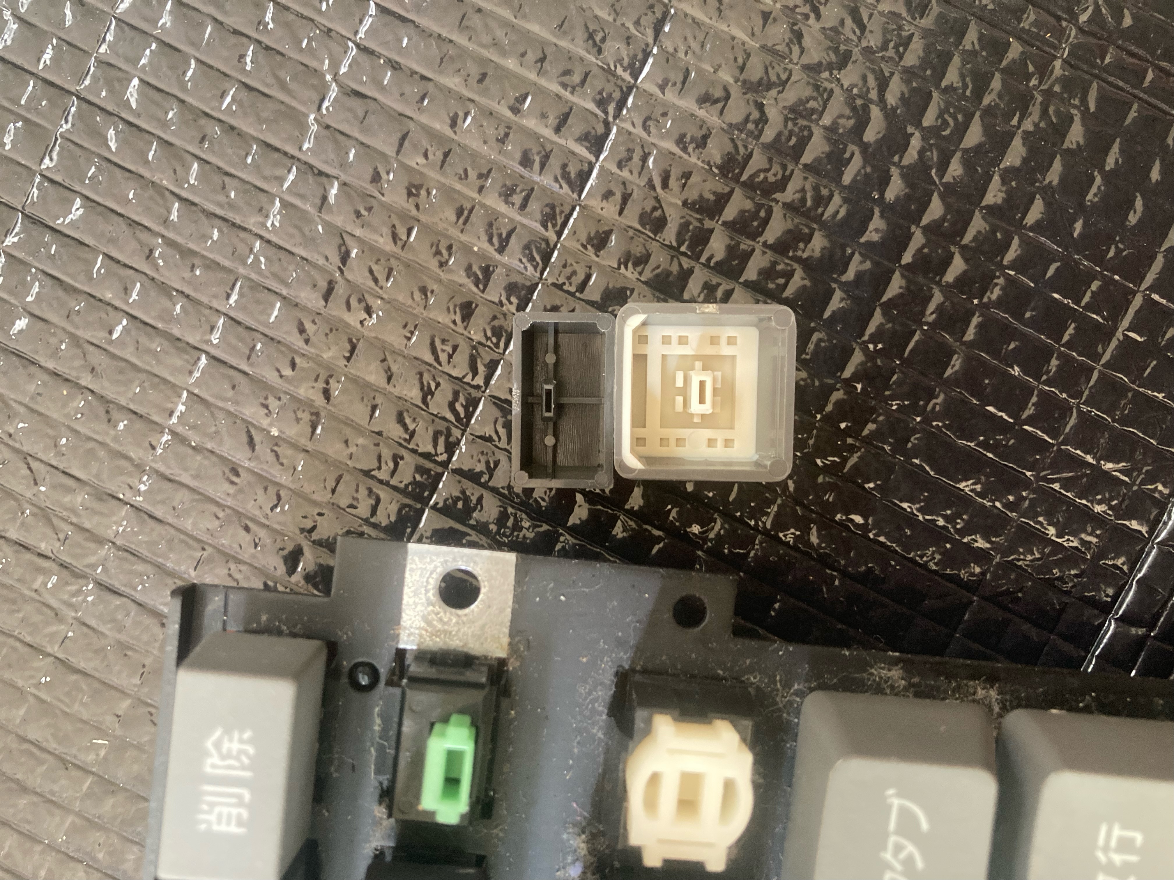 image1.jpeg