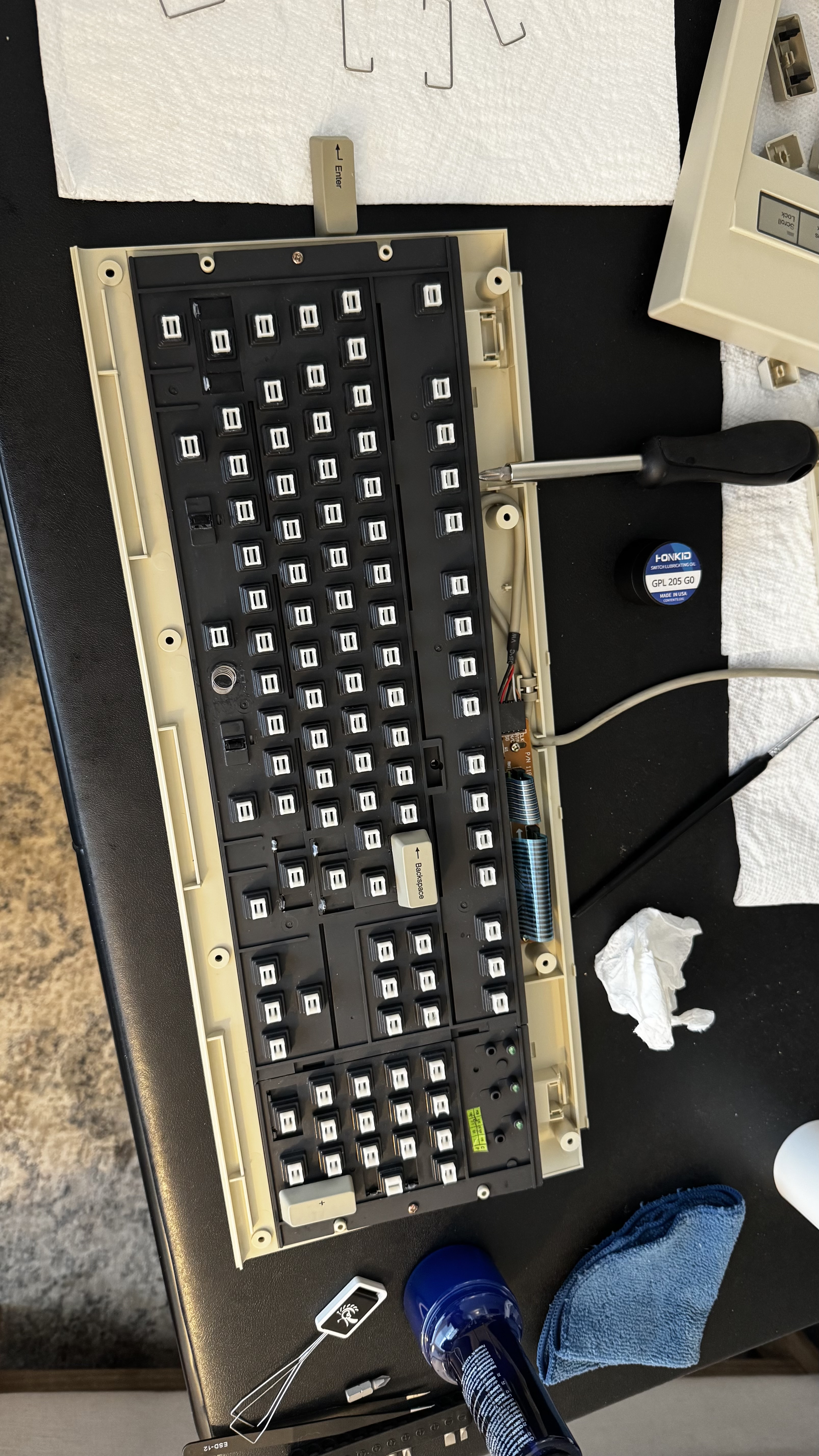 IMG_1794.jpeg