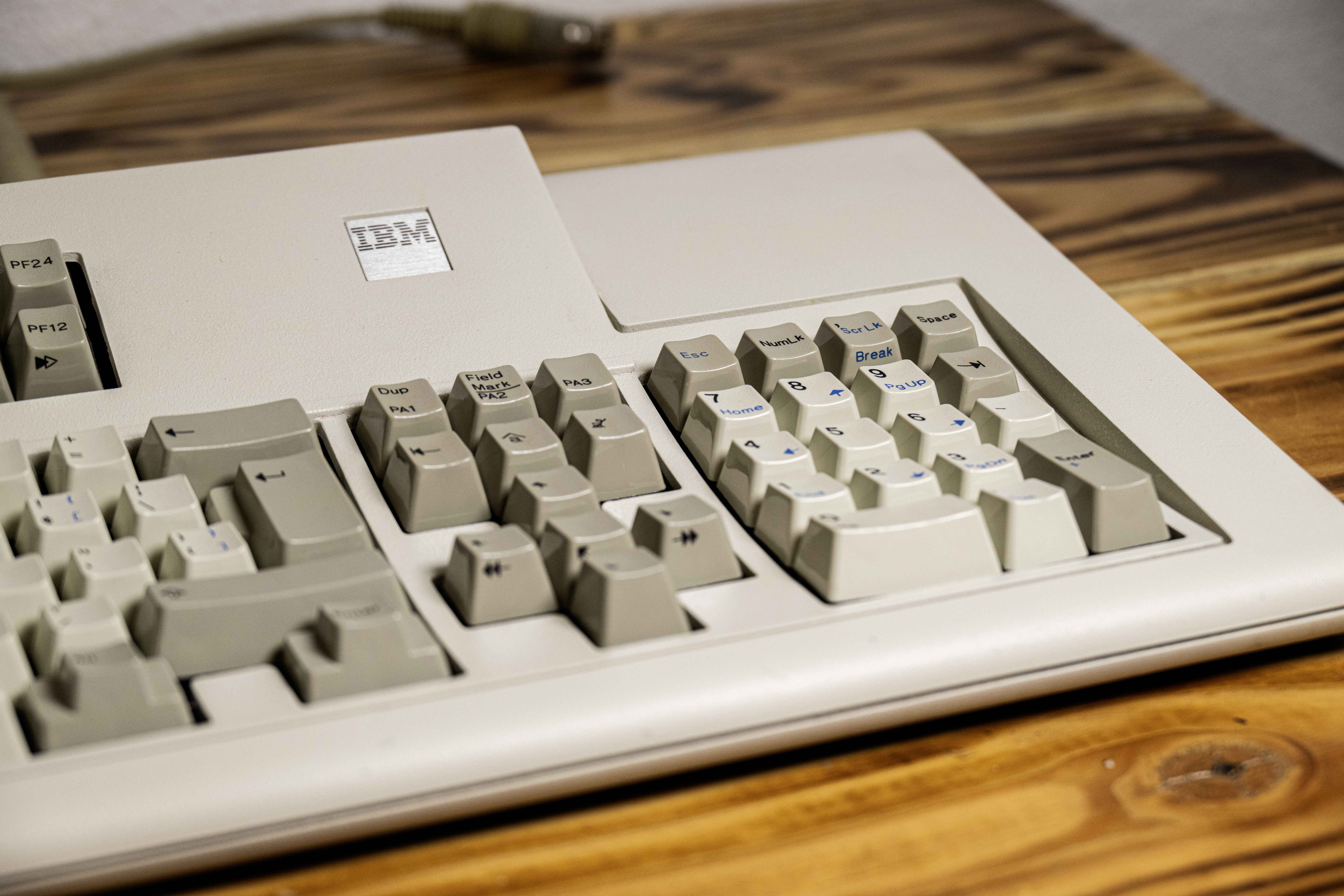 NDR_4594.jpg